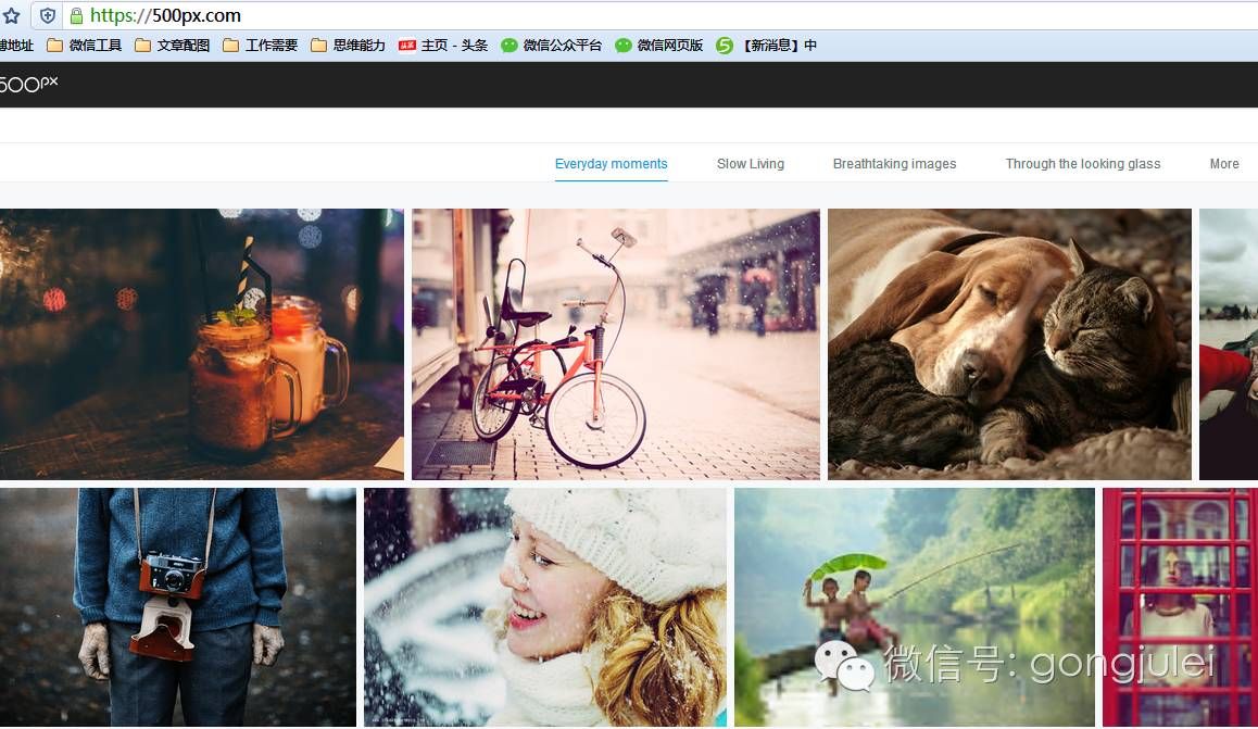 公众号增粉工具有哪些（运营公众号必备涨粉工具） 